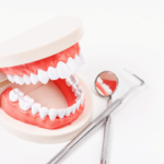 a full mouth dental implant model with dental tools.